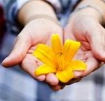 Đi tìm hạnh phúc Đi tìm hạnh phúc