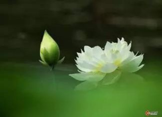 Do may mắn hay do có phước? Do may mắn hay do có phước?