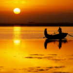 Dòng đời xuôi ngược Dòng đời xuôi ngược