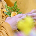 Đức Dalai Lama nói về Phật giáo ứng dụng (P4) Đức Dalai Lama nói về Phật giáo ứng dụng (P4)
