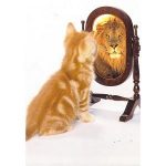 Đừng chấp cái tôi thái quá! Đừng chấp cái tôi thái quá!