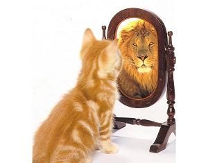 Đừng chấp cái tôi thái quá! Đừng chấp cái tôi thái quá!
