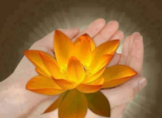 Đừng hưởng hết phước báu Đừng hưởng hết phước báu