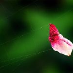 Đường trần đâu có gì… Đường trần đâu có gì…