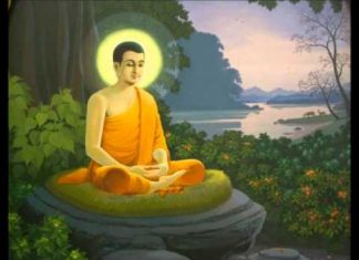 Đường Xưa Mây Trắng – Chương 35: Ra nhìn tia nắng sớm Đường Xưa Mây Trắng - Chương 35: Ra nhìn tia nắng sớm