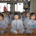 Giải pháp cho vấn nạn bạo lực: gieo lại hạt từ tâm Giải pháp cho vấn nạn bạo lực: gieo lại hạt từ tâm