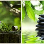 Giáo dục nhân cách trong giáo dục Phật giáo Giáo dục nhân cách trong giáo dục Phật giáo
