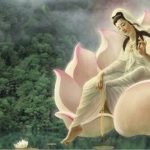 Giọt nước cành dương Giọt nước cành dương