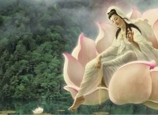 Giọt nước cành dương Giọt nước cành dương