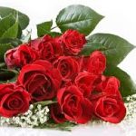 Hại Của Sắc Hại Của Sắc