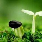 Hai loại tội Hai loại tội