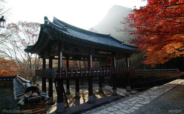 Hàn Quốc: Khám phá ngôi cổ tự Naejangsa