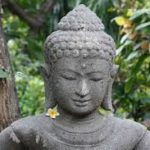 Hạnh Nhẫn Nhục Hạnh Nhẫn Nhục