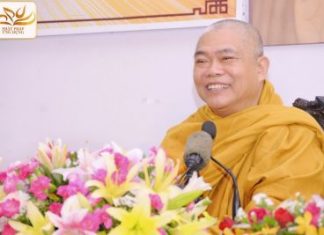 Hạt ngọc lưu ly Hạt ngọc lưu ly