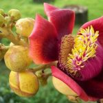 Hãy sống cho thật đáng sống, để không uổng một kiếp người Hãy sống cho thật đáng sống, để không uổng một kiếp người