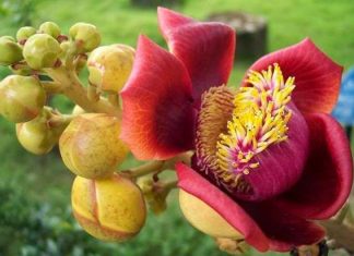 Hãy sống cho thật đáng sống, để không uổng một kiếp người Hãy sống cho thật đáng sống, để không uổng một kiếp người
