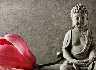 Hiểu biết chân chính sẽ giúp ta sống hạnh phúc hơn Hiểu biết chân chính sẽ giúp ta sống hạnh phúc hơn