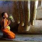 Hồi tâm tỉnh ngộ Hồi tâm tỉnh ngộ