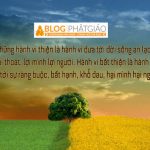 Không có phước đức nào lớn bằng sự thông thái của trí tuệ Không có phước đức nào lớn bằng sự thông thái của trí tuệ