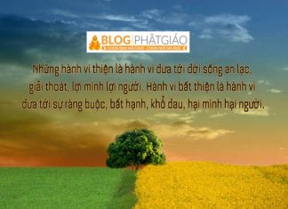 Không có phước đức nào lớn bằng sự thông thái của trí tuệ Không có phước đức nào lớn bằng sự thông thái của trí tuệ