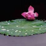Khuyến hóa cha mẹ hướng thiện Khuyến hóa cha mẹ hướng thiện