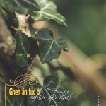 Làm sao để dẹp bỏ thói quen ganh tỵ với người khác?