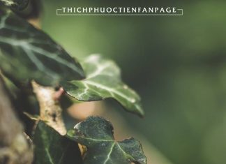 Làm sao để dẹp bỏ thói quen ganh tỵ với người khác?