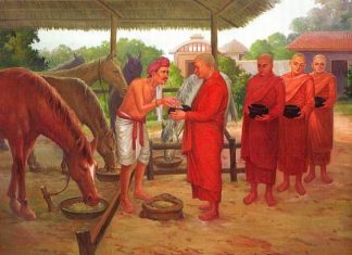 Lợi dưỡng quá nặng Lợi dưỡng quá nặng