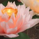 Lợi ích của kinh hành Lợi ích của kinh hành