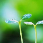 Lợi ích của nói lời thành thật Lợi ích của nói lời thành thật