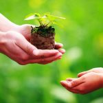 Lợi ích từ việc tích lũy phước đức Lợi ích từ việc tích lũy phước đức