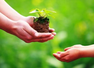 Lợi ích từ việc tích lũy phước đức Lợi ích từ việc tích lũy phước đức