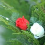 Mẹ – Đỗ Trung Quân Mẹ - Đỗ Trung Quân