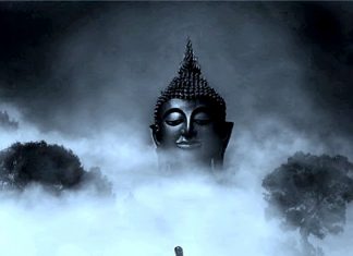 Một hoàn cảnh hai cuộc đời Một hoàn cảnh hai cuộc đời