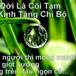 Mượn cõi này Mượn cõi này