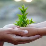 Năm pháp làm gia tăng tuổi thọ Năm pháp làm gia tăng tuổi thọ