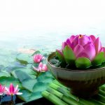 Nghịch cảnh với người làm thiện là chuyện bình thường Nghịch cảnh với người làm thiện là chuyện bình thường