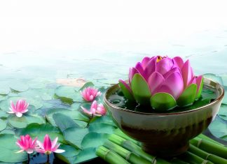 Nghịch cảnh với người làm thiện là chuyện bình thường Nghịch cảnh với người làm thiện là chuyện bình thường