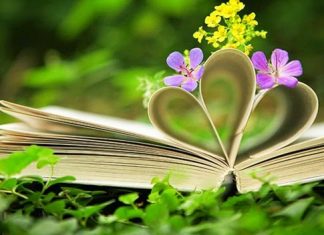Ngồi thật yên và nghĩ lại mình Ngồi thật yên và nghĩ lại mình
