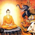 Ngừa lưới ma vương Ngừa lưới ma vương