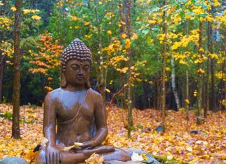 Người cư sĩ hiểu về chữ duyên trong cuộc sống hàng ngày Người cư sĩ hiểu về chữ duyên trong cuộc sống hàng ngày