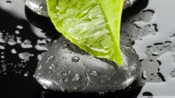 Người hành khất năm xưa còn ngồi đó Người hành khất năm xưa còn ngồi đó