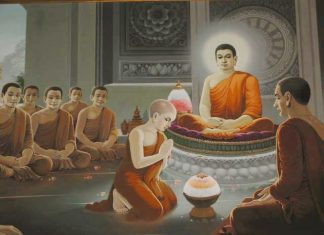 Người Phật tử tự nhìn mình như thế nào Người Phật tử tự nhìn mình như thế nào