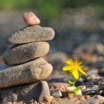 Nhẹ gánh lo âu Nhẹ gánh lo âu