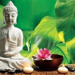 Nhìn trái mà thấy người Nhìn trái mà thấy người
