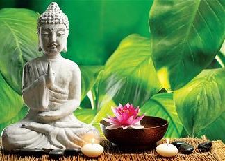 Nhìn trái mà thấy người Nhìn trái mà thấy người