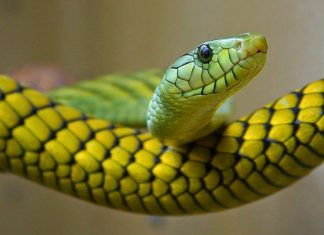Những chuyện nho nhỏ Những chuyện nho nhỏ