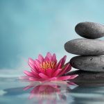 Phật giáo Nguyên Thủy và Phật giáo Đại Thừa Phật giáo Nguyên Thủy và Phật giáo Đại Thừa