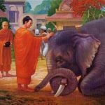 Quan điểm của Đạo Phật về sát sanh và chiến tranh Quan điểm của Đạo Phật về sát sanh và chiến tranh