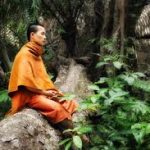 Rừng thuyền Rừng thuyền